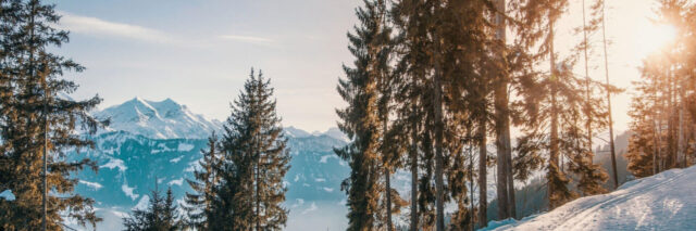 A snowy mountain road