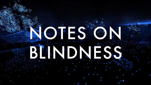 Notes on blindness